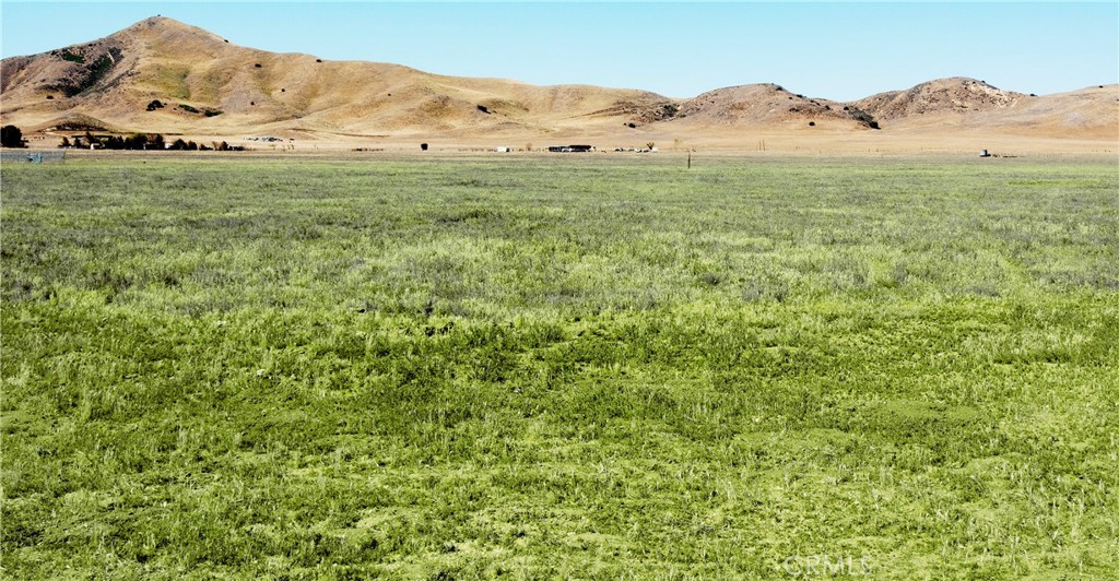 Carrizo Plains/California Valley(62) - Land