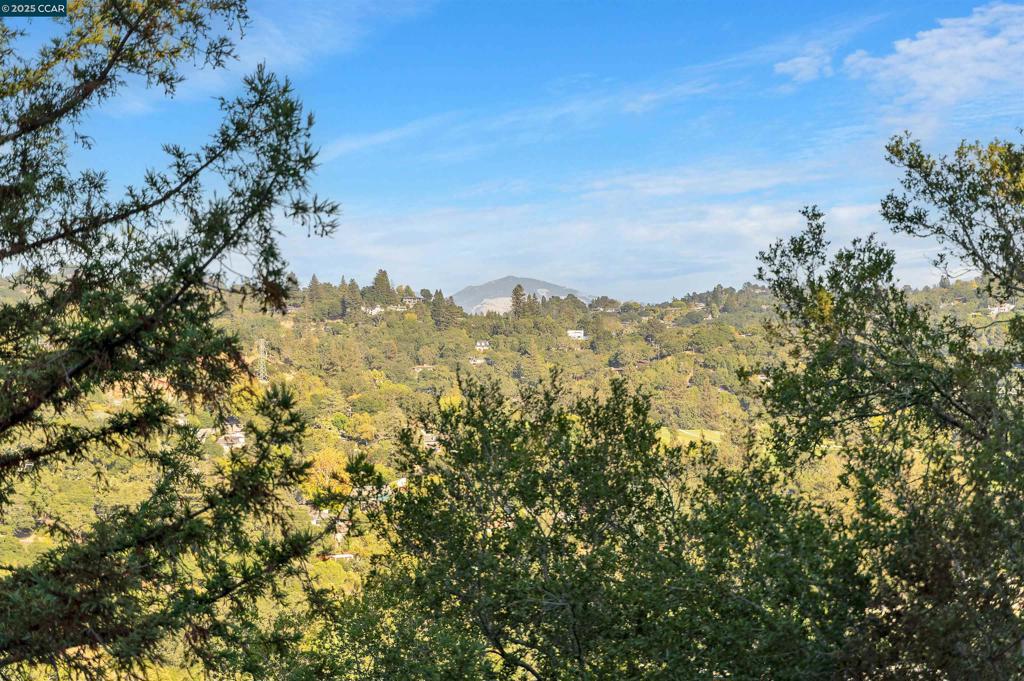 ORINDA PARK - Residential