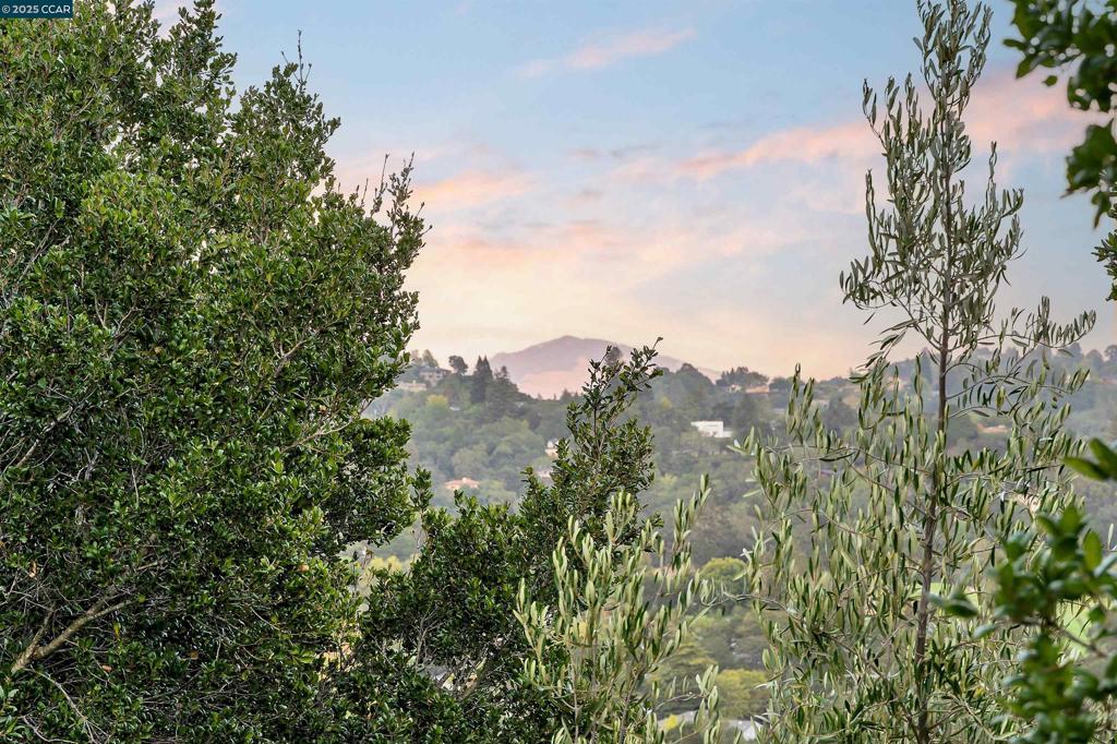 ORINDA PARK - Residential