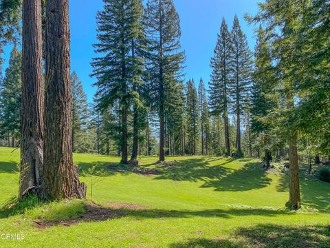 Photo of 13740 Peregrine Road, Boonville, CA 95415 (MLS # C1-10982) Photo of 13740 Peregrine Road, Boonville, CA 95415 (MLS # C1-10982)