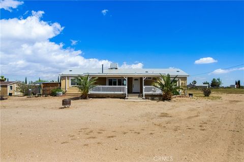 11527 Daisy Phelan CA 92371