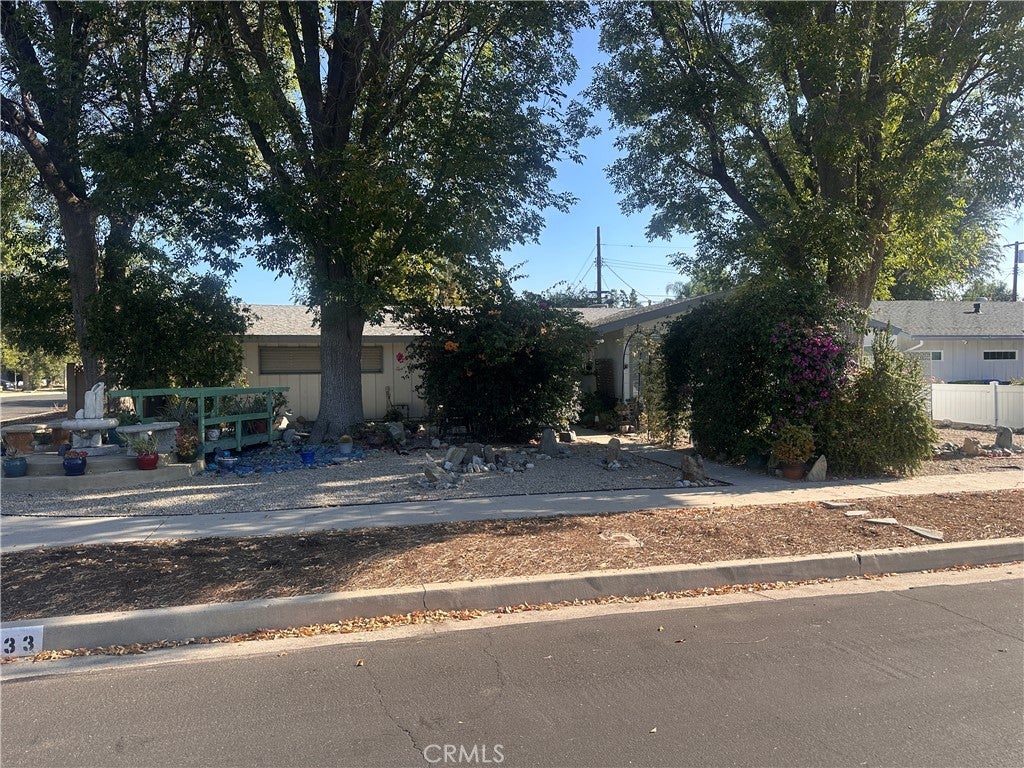20133 Citronia ST