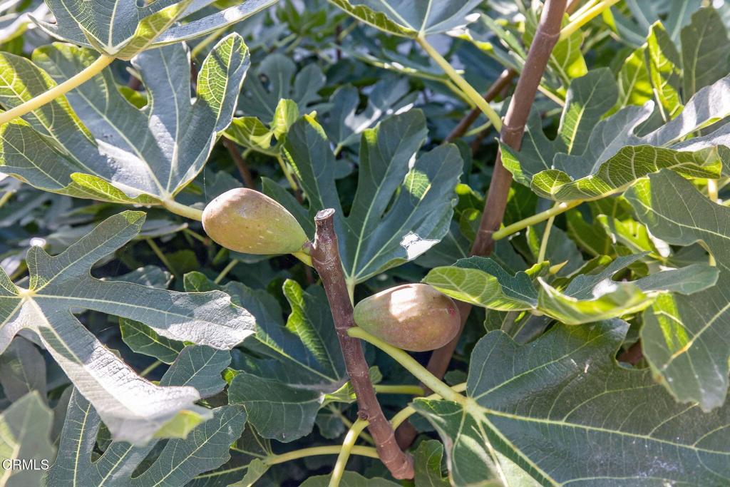 Keys Island / Pacesetter - 160101 - Residential