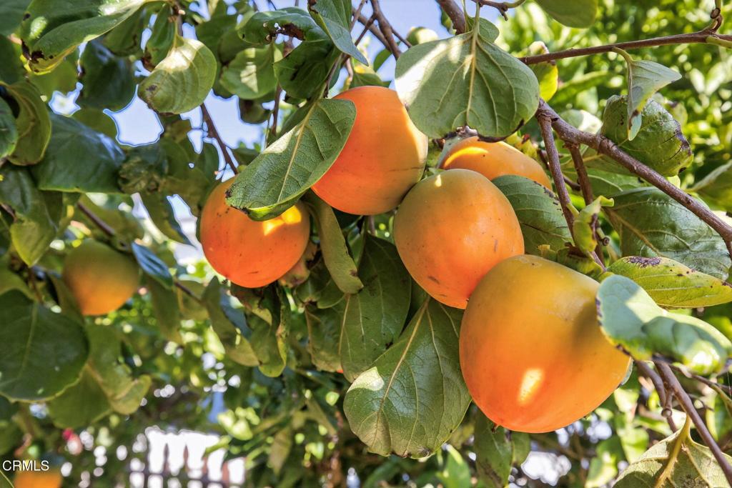 Keys Island / Pacesetter - 160101 - Residential