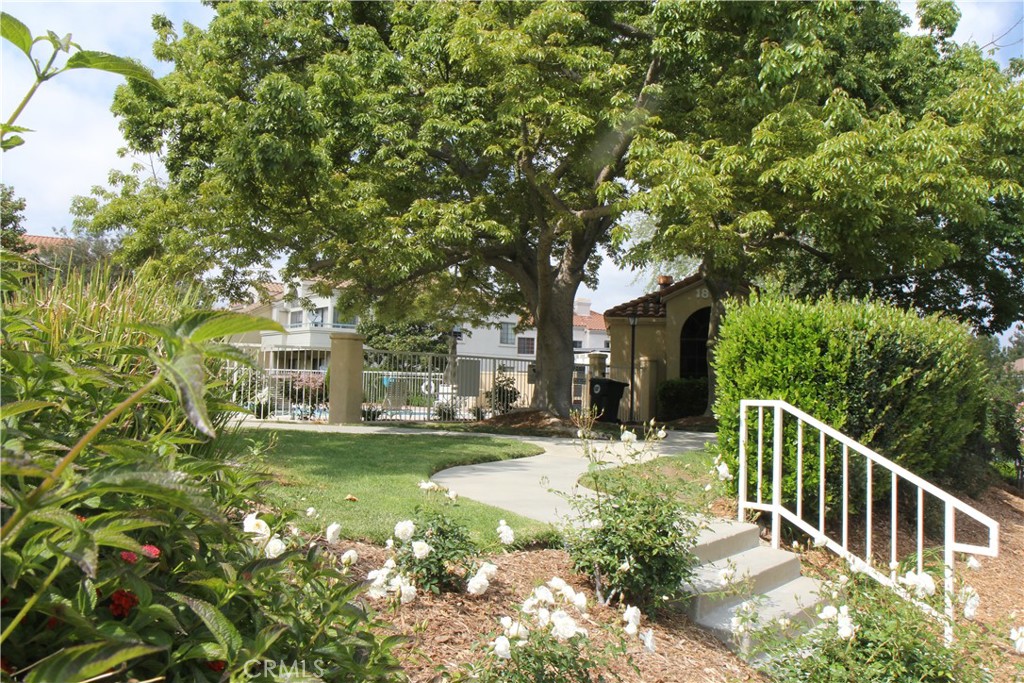 Custom Canyon Country 1 (CCAN1) - Residential