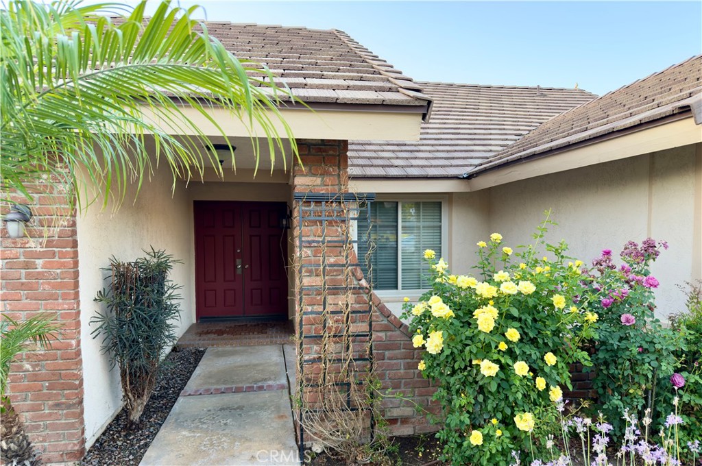 25488 Orange Crest Way