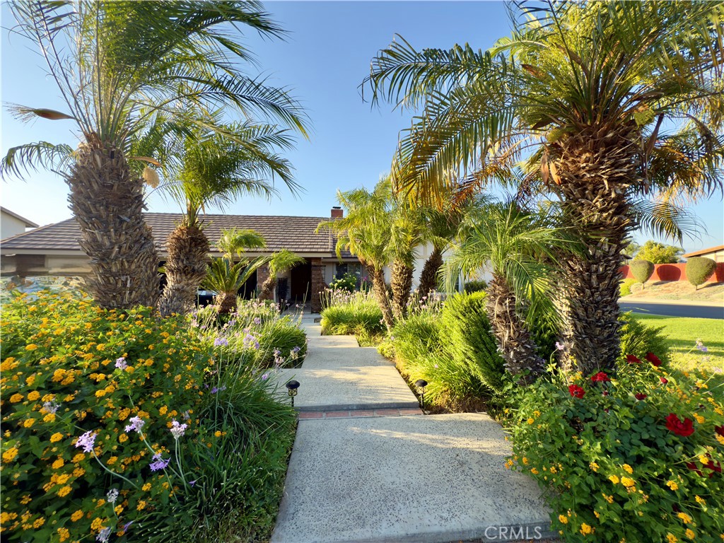 25488 Orange Crest Way
