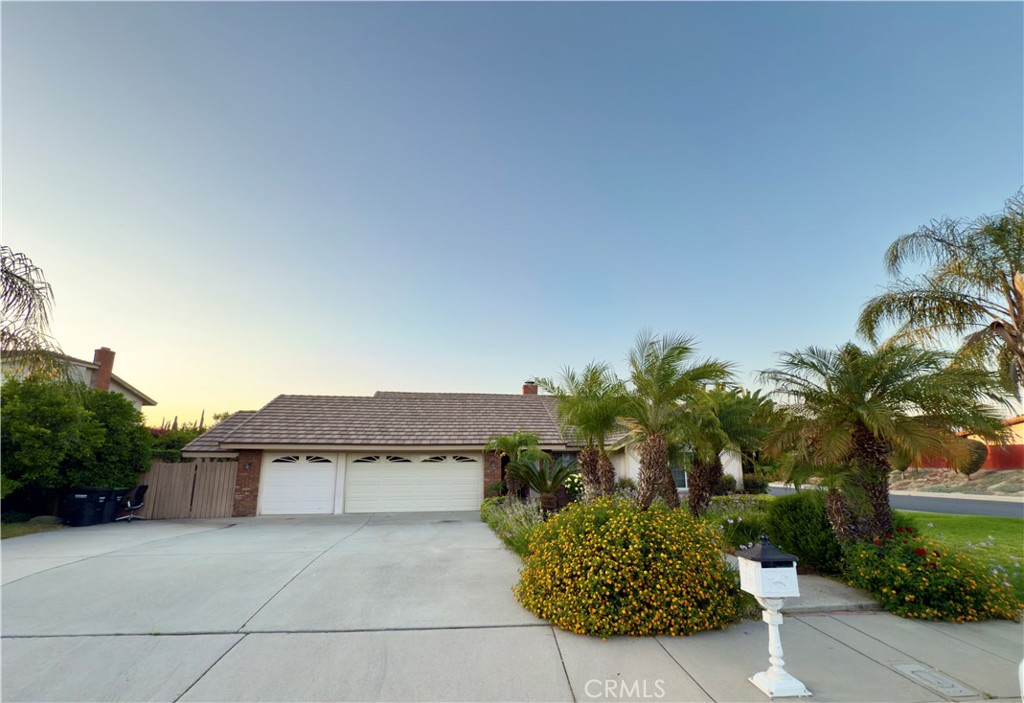 25488 Orange Crest Way