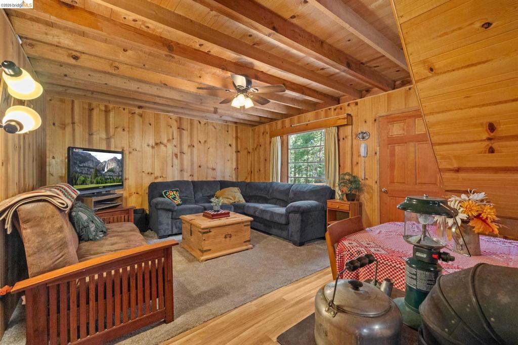 22742 Conifer Court