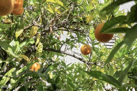 Tiny photo for 1935 El Rancho Drive, Camarillo, CA 93010 (MLS # V1-37626)