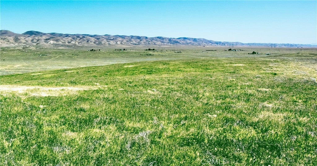14030 Blocksburg Road