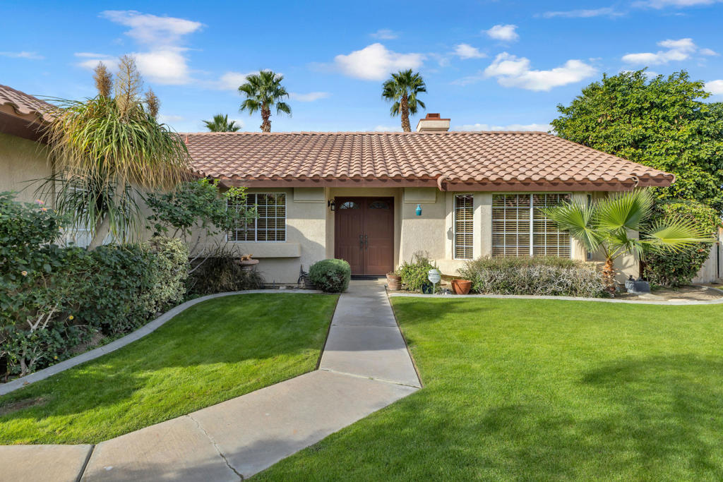 Cactus Flower - Residential