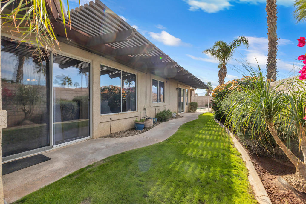 Cactus Flower - Residential