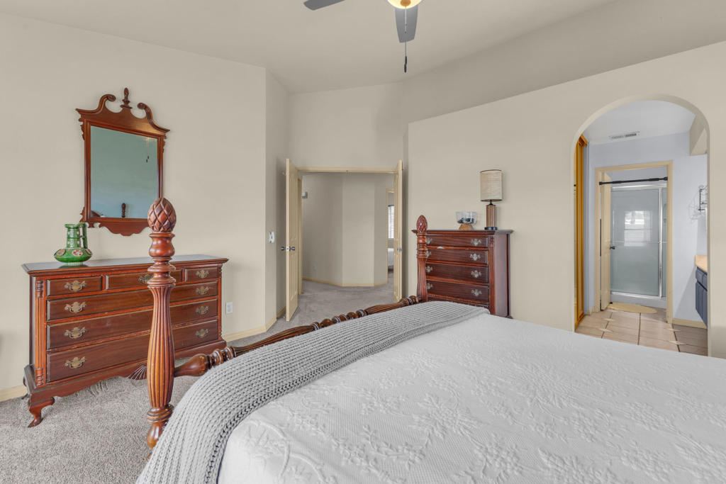 Cactus Flower - Residential