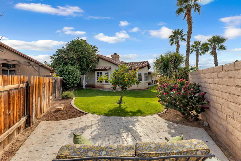 Cactus Flower - Residential