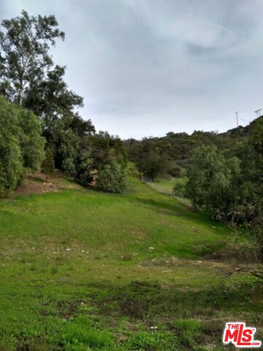 Imagine owning nearly a full acre of land nestled among the serene, majestic mountains of Old Topanga Canyon. This stunning lot offers a generous building site and comes with two registered and recorded easements, giving you flexibility and peace of mind for future development. Whether you're envisioning your forever home, an investment property, or a peaceful retreat with a stable or pasture for horses, this property is your blank canvas. Surrounded by natural beauty and just moments from scenic hiking and riding trails, it offers the perfect balance of tranquility and accessibility. Enjoy the convenience of water and electricity available at the street, and the added bonus of being located within the highly sought-after Los Angeles Unified School District with top-rated elementary, junior, and high schools just a short distance away. Plus, no Coastal Commission restrictions means fewer hurdles on the path to building your dream. Don't miss this rare opportunity to claim a piece of paradise in one of LA's most charming canyon communities!.