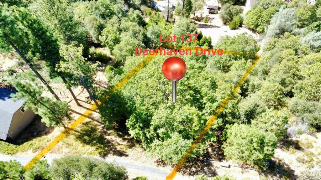 137 Deerhaven Drive