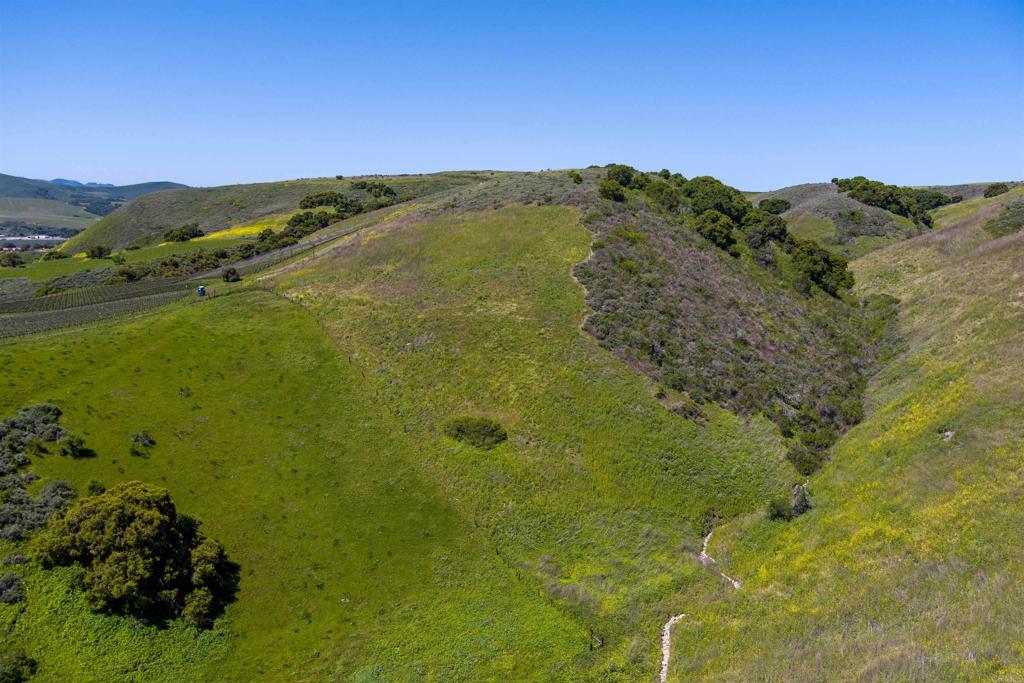 Just over 43 acres of beautiful, unimproved agricultural land situated in rolling hills with views of the Santa Ynez River Valley. Prime location in the Sta. Rita Hills American Viticultural Area (A.V.A.), home to over 59 vineyards, with nearly 3,000 acres planted with Pinot Noir, Chardonnay, and 18 other wine grape varieties.