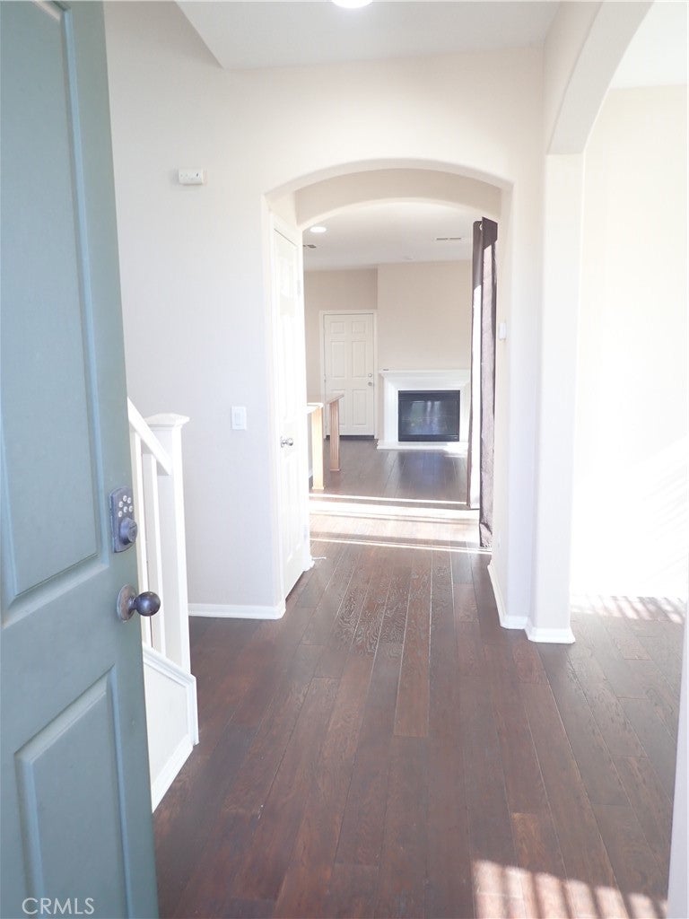 27605 Chicory - Photo 3