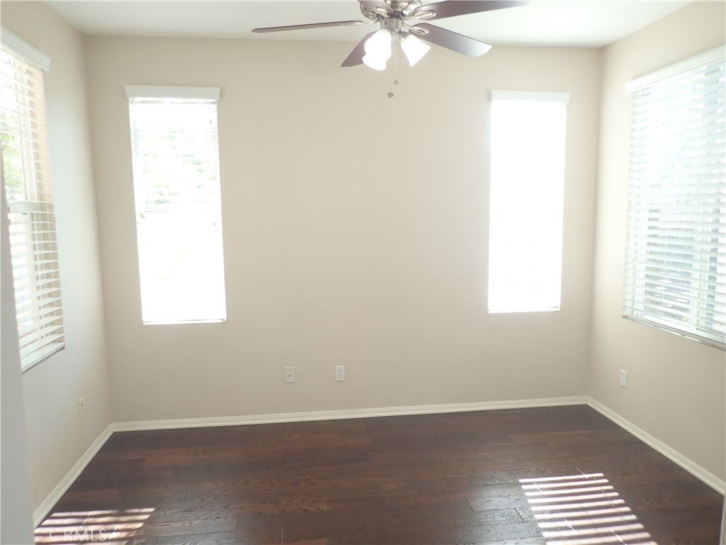 27605 Chicory - Photo 4