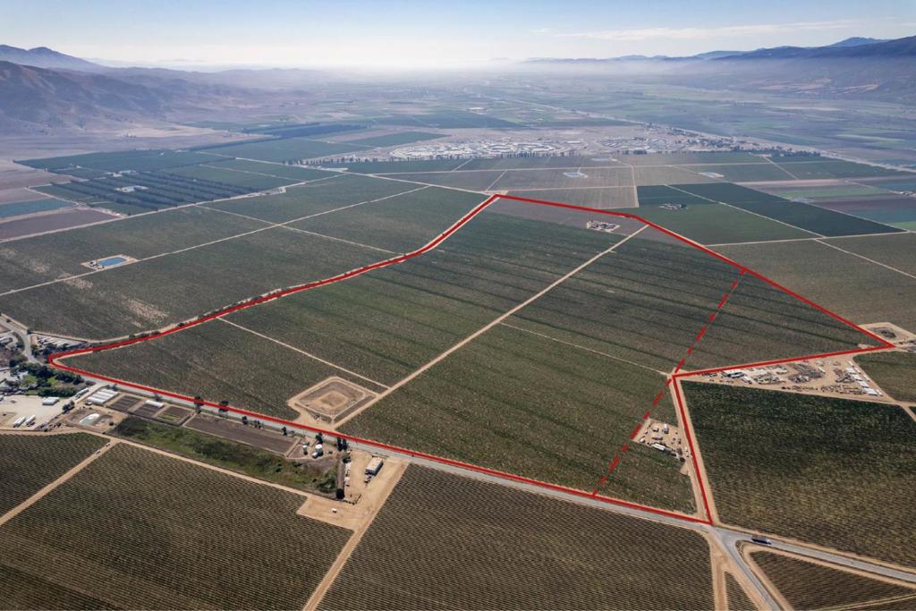 The Raymond Ranch is a 300-acre ranch located just south of Gonzales in the Salinas Valley in an area known as one of the most productive agricultural regions in the country producing high quality fresh vegetables and wine grapes. The ranch is level to gently sloping terrain with soils that are mostly from the Chualar and Elder series, which are well-drained DG soils regarded as prime farmland. The Raymond is currently planted to wine grapes but with the idea of removing the vineyard and converting the acreage to row crop. This conversion will require the addition on a second ag well, the cost of which as been considered in this offering.