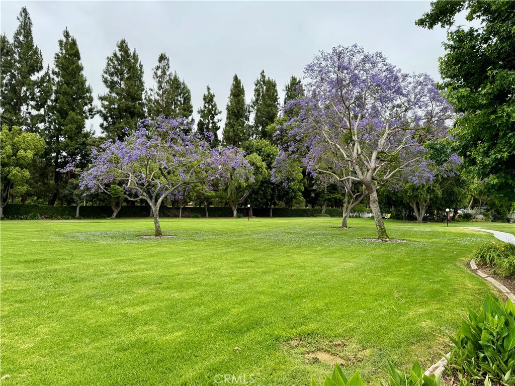 Groves Trailer Park (TG) - Residential