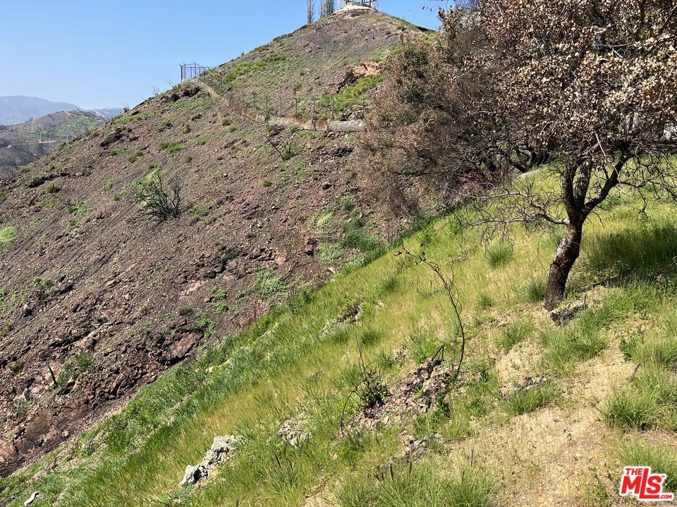 1785 Alta Mura Rd Road