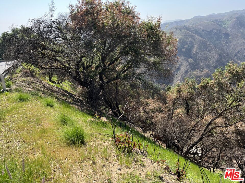 1785 Alta Mura Rd Road