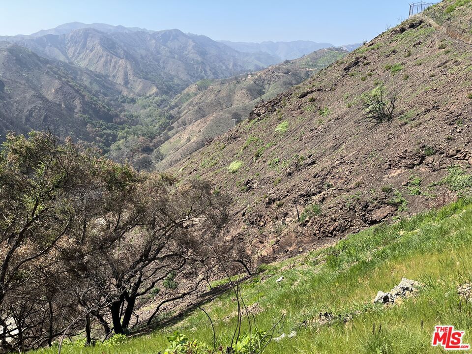 1785 Alta Mura Rd Road