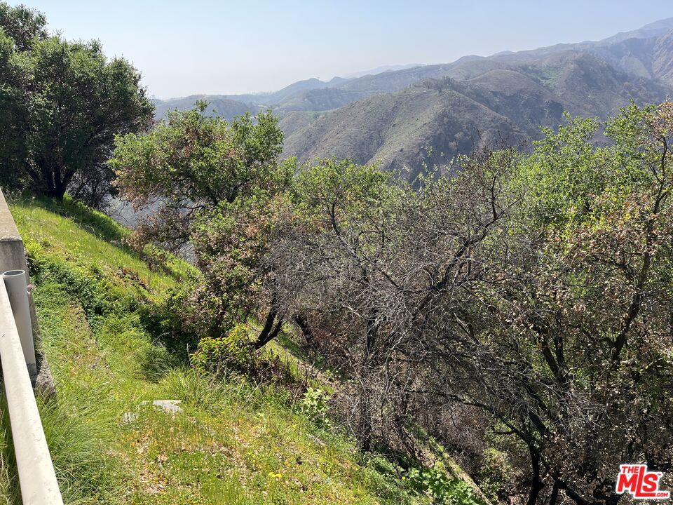 1785 Alta Mura Rd Road