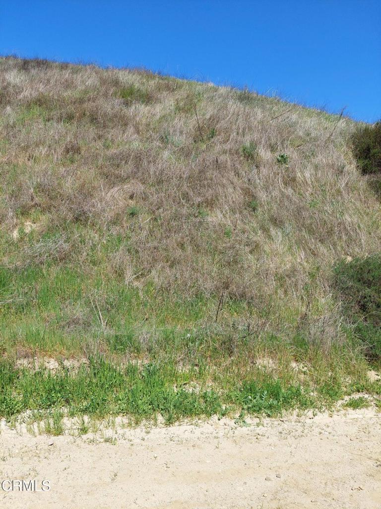 3.6 acres of beautiful land zoned for Residential or Agricultural use, adjacent to the Val Verde Community Regional Park, which has a swimming pool, tennis & basketball courts, picnic areas & hiking trails. The lot starts at the corner of Loma Verde Mountainway & Cotton St., see the attached plat map. We are not aware of any services (electric, water, sewer) to this property at this time; however, the community park has water, sewer, & electricity. Close to Castaic Lake, Magic Mountain, & Valencia. Buyer is advised to independently investigate all aspects of the property, verify the accuracy of all information through personal inspection & with appropriate professionals to Buyer's satisfaction.