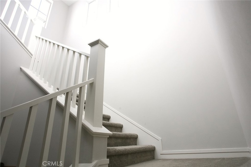 Tristania - Residential Lease