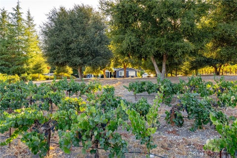 Tiny photo for 2925 Anderson Road, Paso Robles, CA 93446 (MLS # NS26161284)