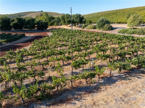 Tiny photo for 2925 Anderson Road, Paso Robles, CA 93446 (MLS # NS26161284)
