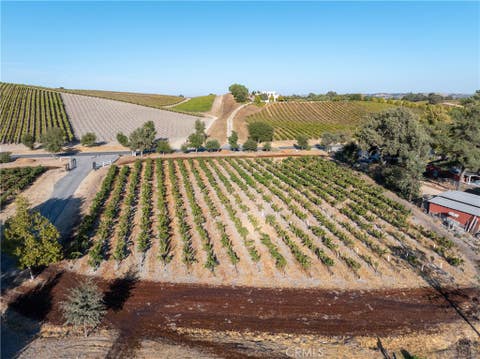 Tiny photo for 2925 Anderson Road, Paso Robles, CA 93446 (MLS # NS26161284)