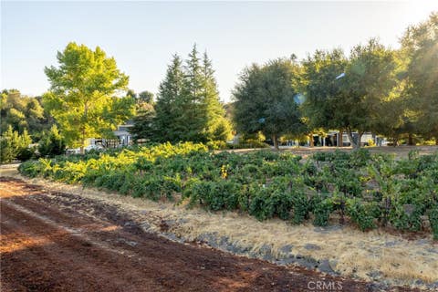 Tiny photo for 2925 Anderson Road, Paso Robles, CA 93446 (MLS # NS26161284)
