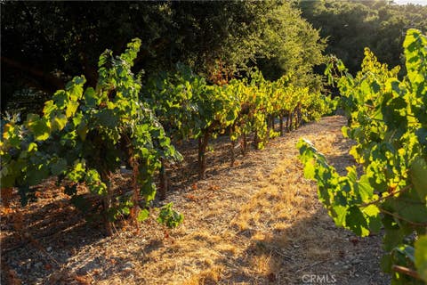 Tiny photo for 2925 Anderson Road, Paso Robles, CA 93446 (MLS # NS26161284)