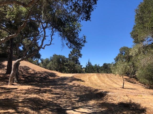Nestled among graceful oaks and soaring pines, this 4.43± acre homesite in Monterra offers privacy, natural beauty, and a generous .823± acre building envelope. All underground utilities are stubbed at the street, including water service from the private Canada Woods Water Company. A social membership to the exclusive Tehama Golf Club is included with the sale, granting access to fine and casual dining venues, year-round social events, a fitness center with two pools, tennis and pickle ball courts, weight room, organized group classes, personal trainers, and more. Monterra Ranch is a gated 1,700-acre community with 168 homesites and expansive open space, just 3 miles inland from the coast. Enjoy easy access to shopping, dining, wine tasting, world-class golf, beaches, a regional airport, and a raceway and enjoy sunnier weather than the coast. Experience peaceful, park-like living surrounded by natural beauty and wildlife. Monterra is more than a place to live, it's a lifestyle.