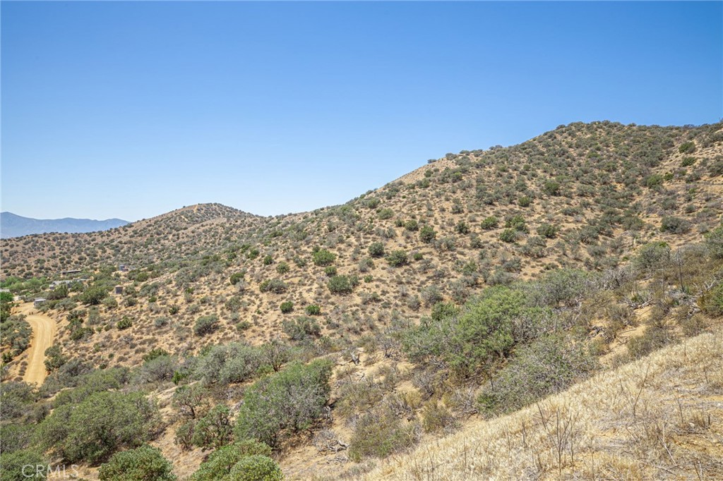 Custom Acton (CACTO) - Land