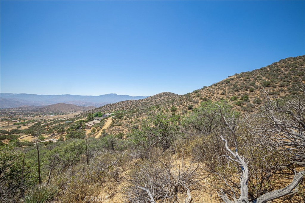 Custom Acton (CACTO) - Land