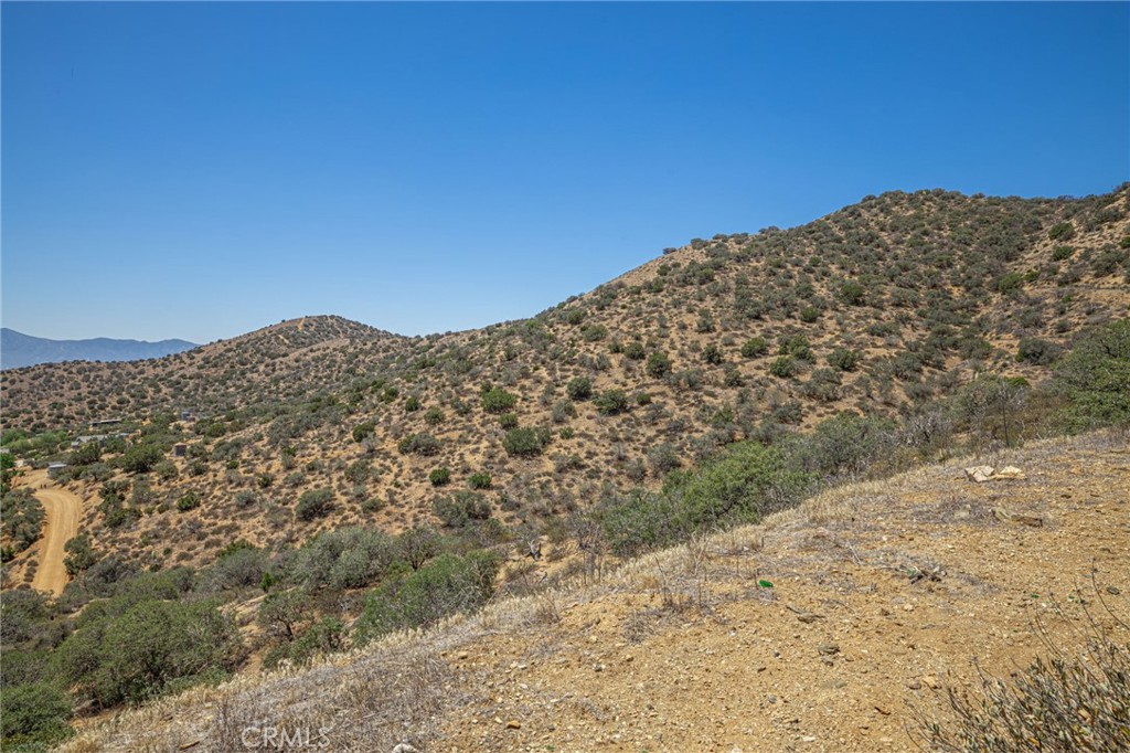 Custom Acton (CACTO) - Land