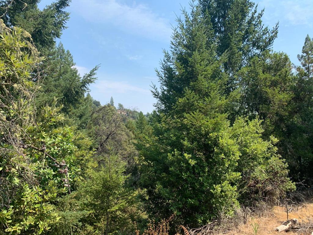 Panoramic views of mountains and valleys possibly available from this near ridge top location above Boulder Creek. Two possible building sites. Water meter, electricity at street, previous soils report good, partially graded driveway and building site. Easy access via paved road.