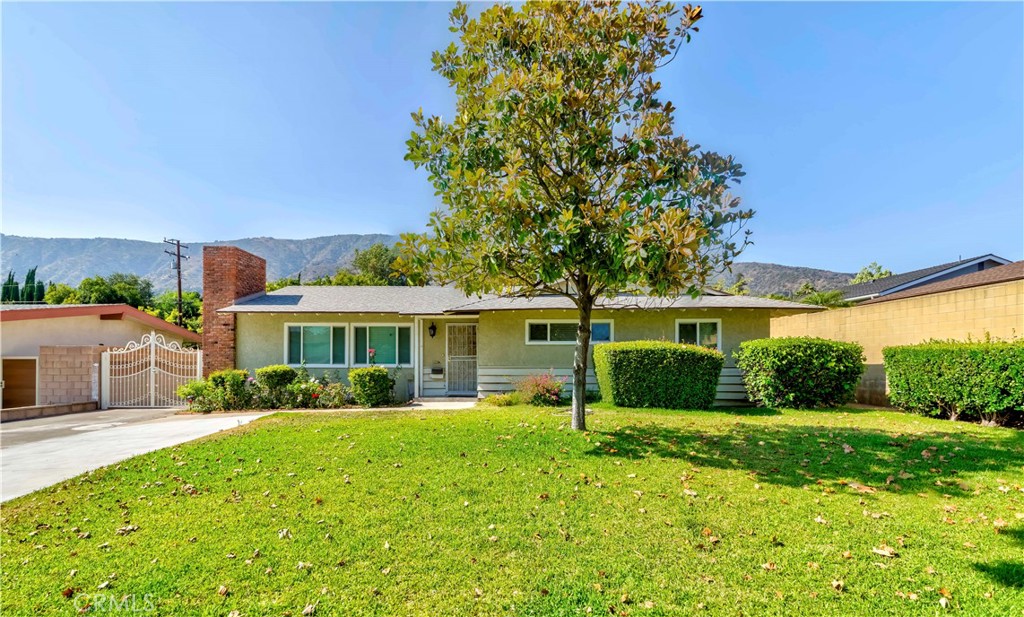 The awarding school district is located north of Glendora city and minutes' drive to the I-210. This house features three bedrooms and two bathrooms, one living room with a gas fireplace, a cozy kitchen with a breakfast nook, and a family room next to the dining area that could be used as an office with direct access to the backyard. Hardwood floors throughout the home, a central cooling and heating system, an individual laundry next to the kitchen, and fancy and newer bathrooms bring your eyes up, all windows are covered by the quality wood-blinds. New fresh paint for the whole interior house. When you step into this house, the front yard and neighbors' landscaping is a window picutre to bring you a calm summer when you rest in your living room. Warm and new wall paint all over the house. It has a wide driveway to park multiple cars, a detached garage, spacious front and back yards, a rose garden, and fruit trees in the backyard. Backyard is actual the treasure, mountain view and big avocado tree treat you as an old friend.
With fresh air and a quiet neighborhood, this is the place to grow your family full with love. Don't miss this chance!