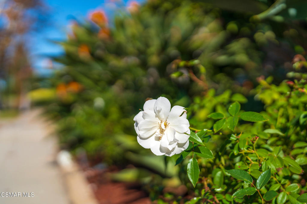 First Neighborhood/Custom-705 - 705 - Residential