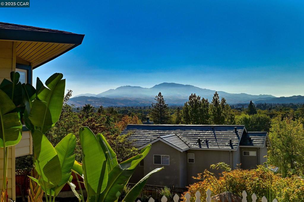 VIEWS, 6+ car garage/shop, .32 acres, spacious 4 BR 3 BTH. This one’s special! Original owners built and lovingly maintained this home, and it shows—from the re-purposed wood ceilings to the oak hardwood floors. You’ll love the panoramic views of Mt. Diablo, Diablo Valley, and even down to the San Ramon Valley. Out front, there’s a shady balcony under a big oak tree that’s just begging for morning coffee or a sunset glass of wine. Inside, the eat-in kitchen has tons of counter space and storage—and yep, it looks right out to those amazing views. The living and formal dining rooms are full of charm and open to a big, private yard and brand-new deck. Great for gatherings or just kicking back. The primary suite is a true retreat, with jaw-dropping views of Mt. Diablo from the bedroom and the bathtub. There are four bedrooms total, two with access to a rooftop deck. The floor plan has two separate bedroom wings, which is great for multigenerational living or extra privacy. And check this out: a six-car garage plus a workshop area! Easy access to the canal trail, shopping, and major commute routes too. This home has a rare combo of space, views, and character. Come see it—you won’t be disappointed!