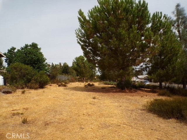 10268 Delmonte Way