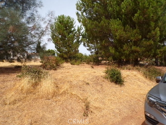 10268 Delmonte Way