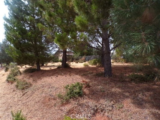 10268 DEL MONTE WAY, KELSEYVILLE, CA 95451 - Image 1030e2bef69cc23f1eecf4a8553b6ddb/958545807
