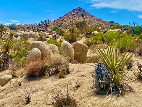 Photo of 104 Bandera Road, Yucca Valley, CA 92284 (MLS # 219143179PS)