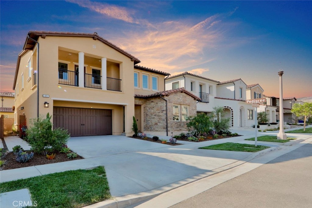 65 Rockinghorse